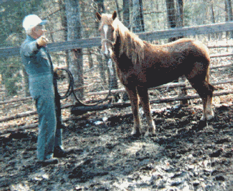 Paul & Lady Skye