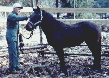 Paul & Babe